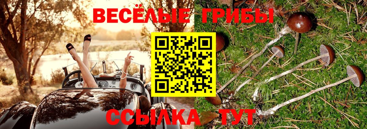 Волгоград  Псилоцибиновые грибы ЛСД  Галлюциногенные грибы Psilocybe  Вход с VPN 