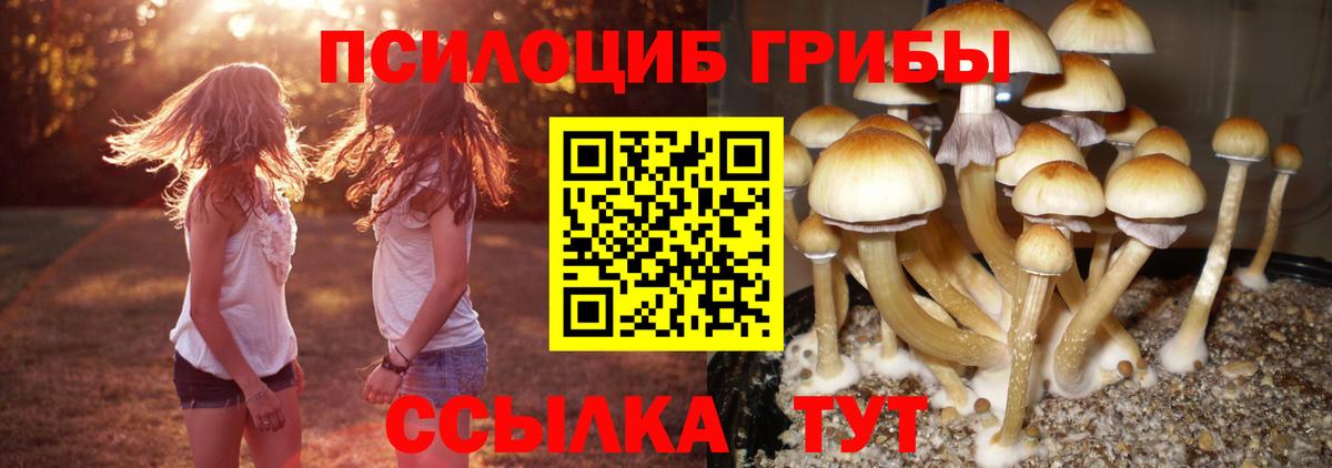 Псилоцибиновые грибы MAGIC MUSHROOMS Волгоград